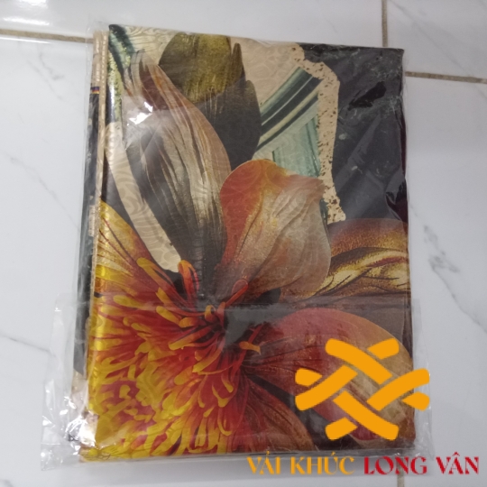 Áo dài thiết kế mẫu 2